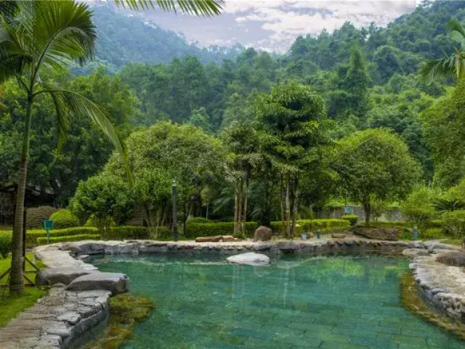 Hot Spring Forest Holiday Hotel