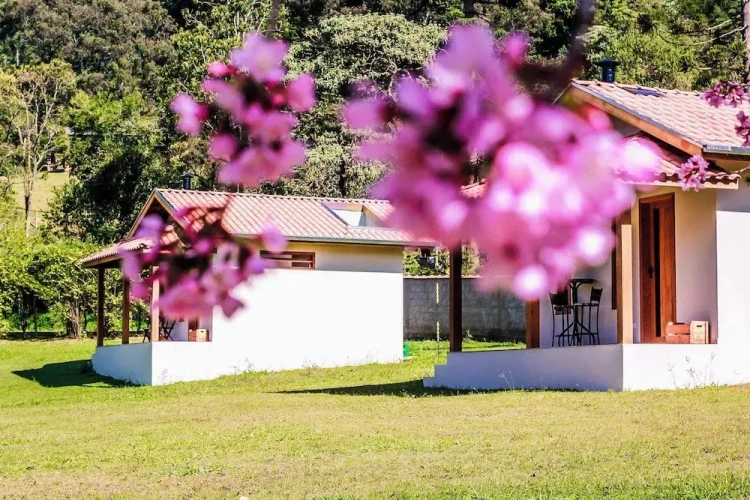 Comfort Chalet