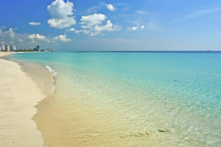 Kimpton Angler's South Beach photo 28