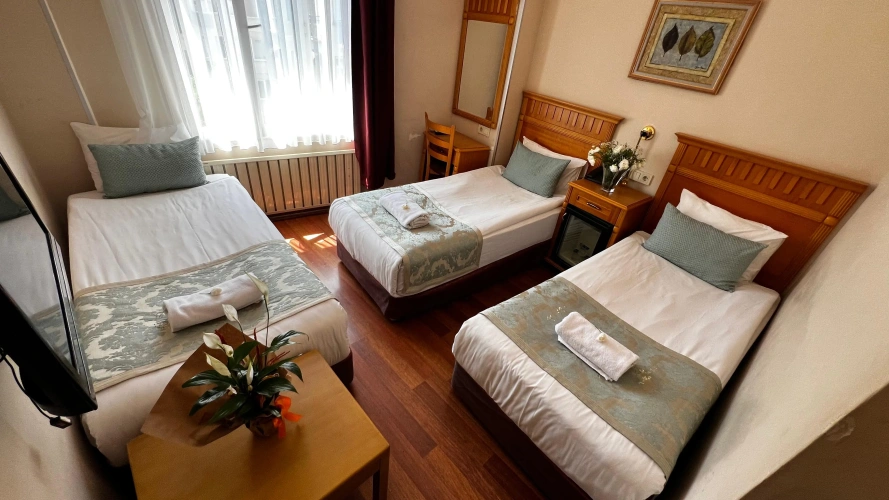 Economy Triple room