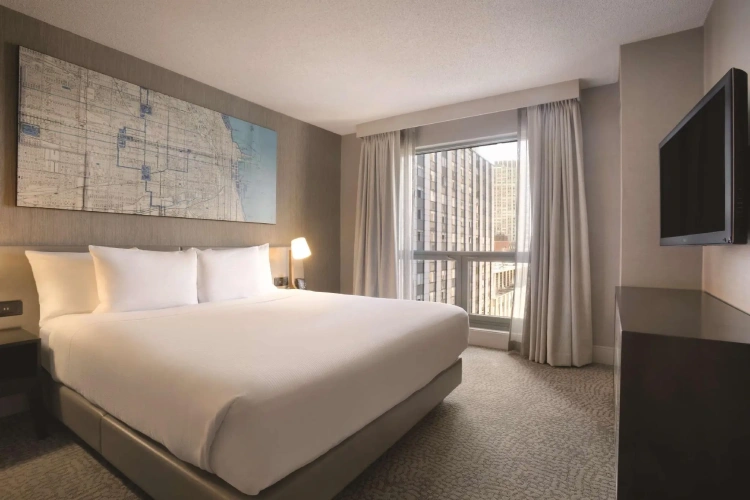 1 Bedroom Accessible Double Suite