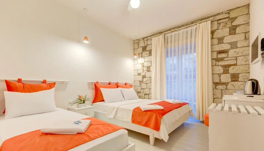 Standard Twin room with garden view