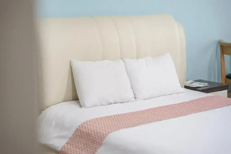 Daecheon Swiss Chalet Spa Pension