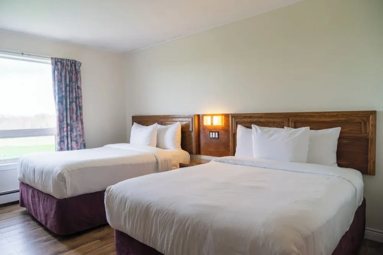 Economy Quadruple room