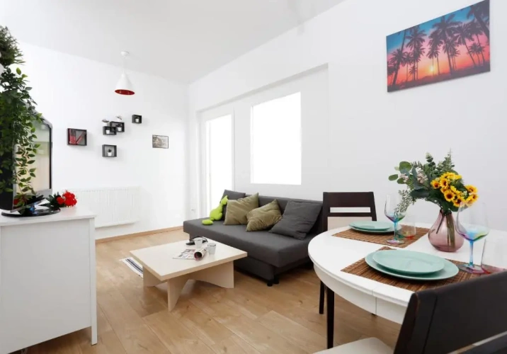 1 Bedroom Apartment