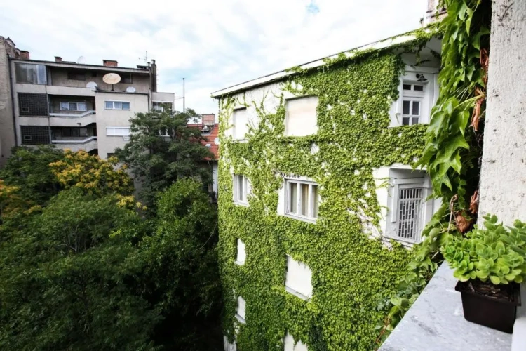 Double Apartment