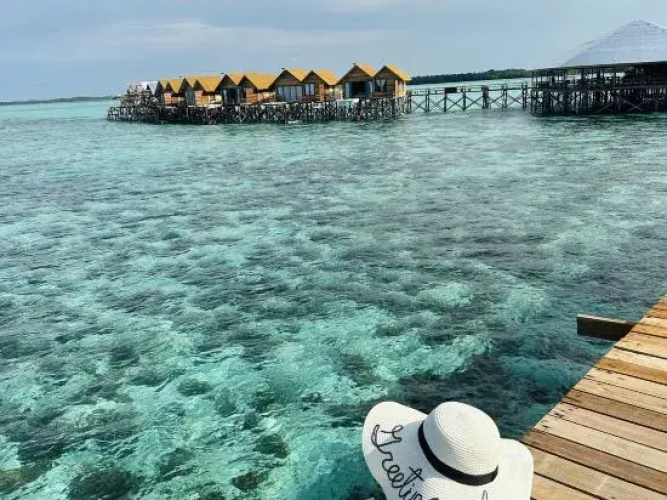 Jelly Sea Resort