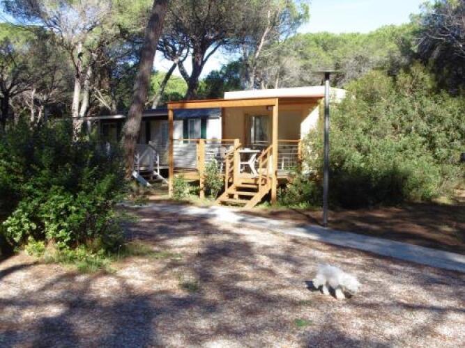 Camping EdenOver view