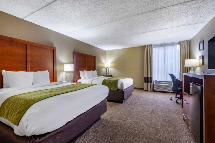 Standard Quadruple room