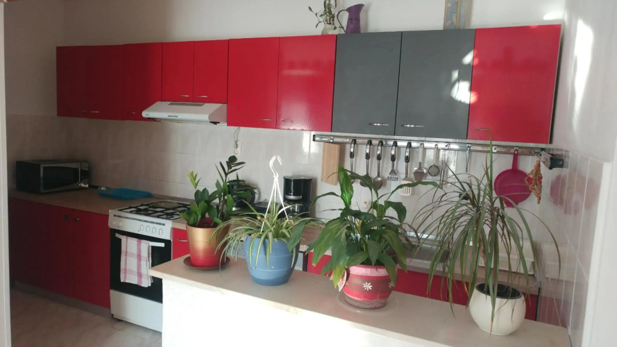 Apartment Tina