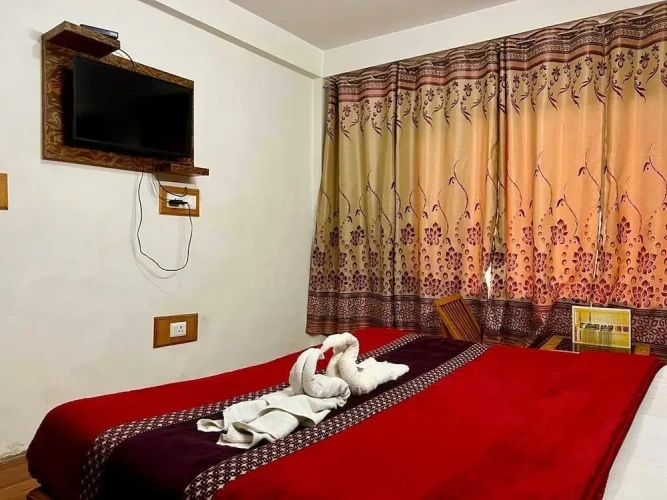 Standard Double room with balcony and with mountain view