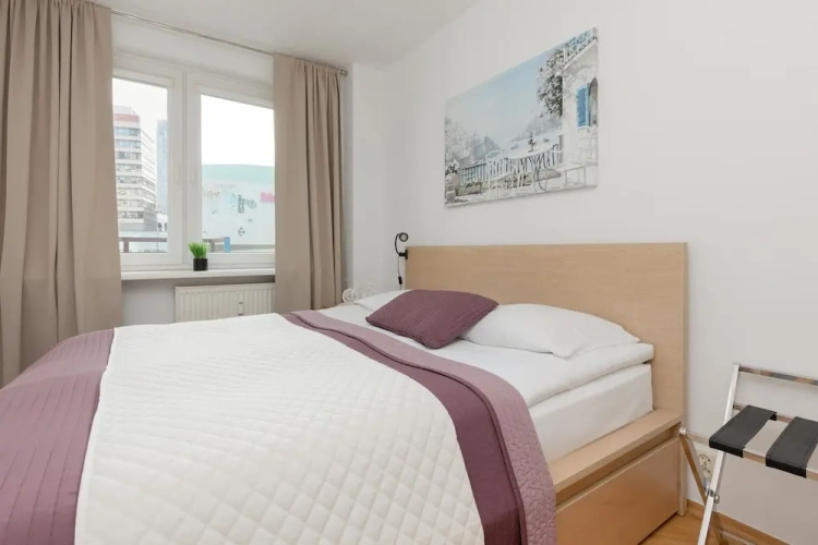 1 Bedroom Business Apartment with city view