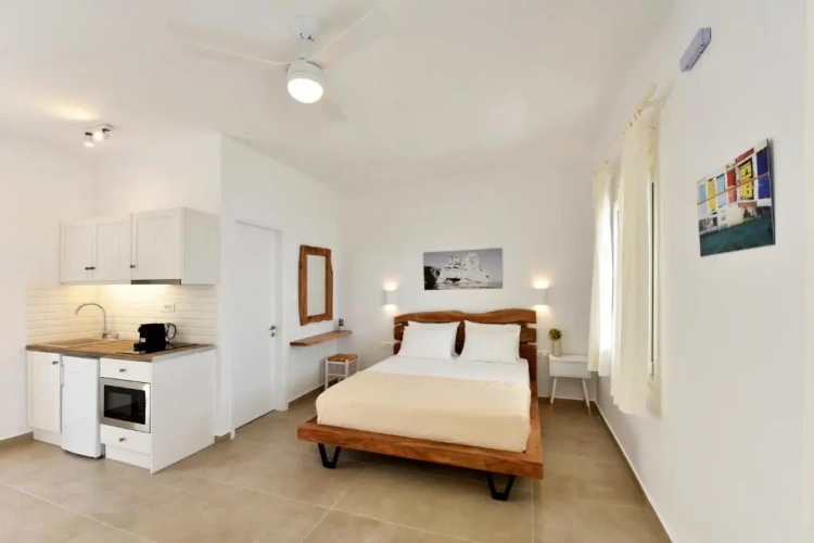 Standard Double room with balcony and with sea view