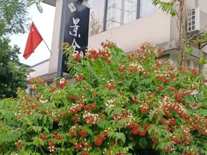 Jingshe Hostel