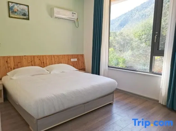 Standard Double room with courtyard view