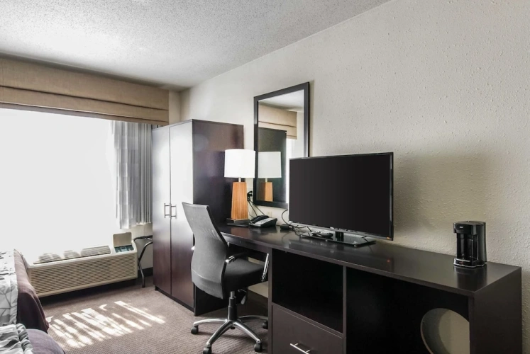 Quadruple Suite