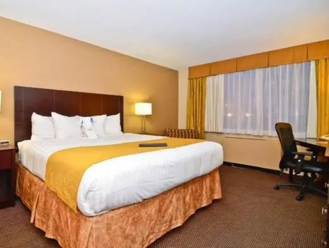 1 Bedroom Double Suite