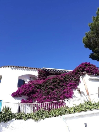 l'ecrin bleu
