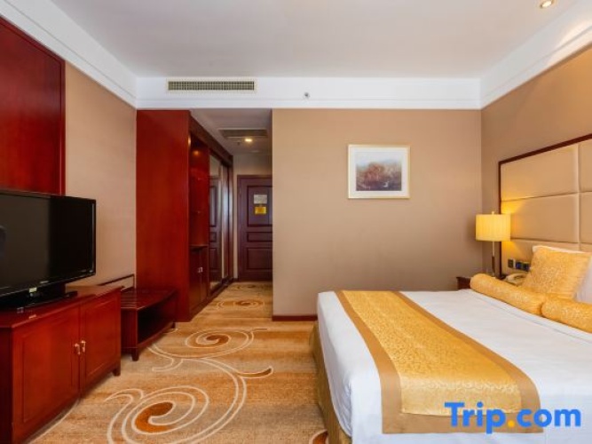 Standard Double room with city view