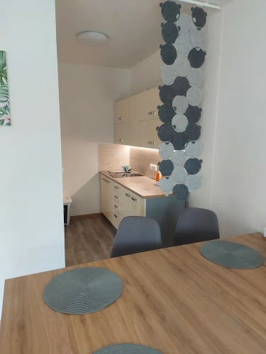 Double Apartment