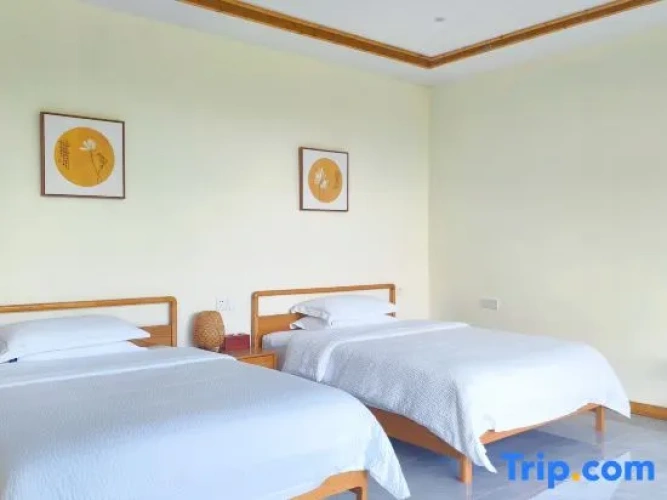 1 Bedroom Twin Family Suite