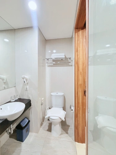 Superior Twin room with city view