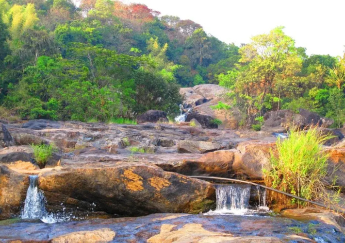 Aruvi Resorts