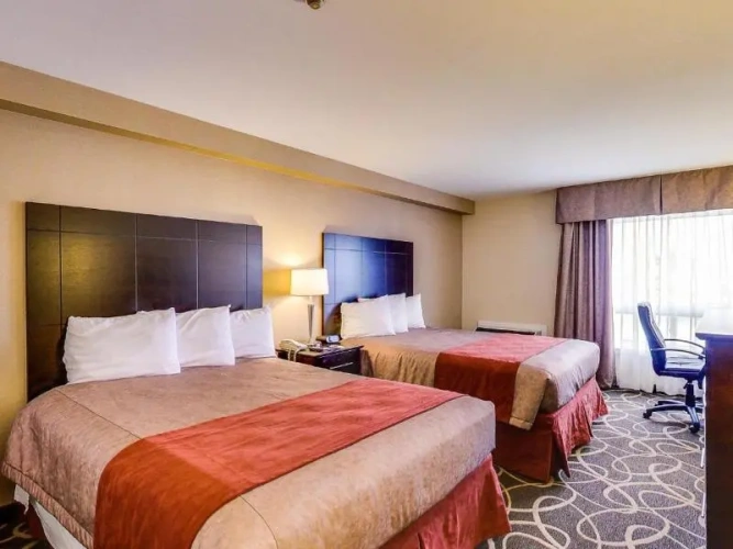 Premier room