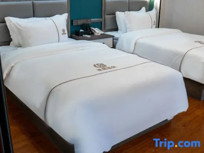 Standard Twin room with mountain view