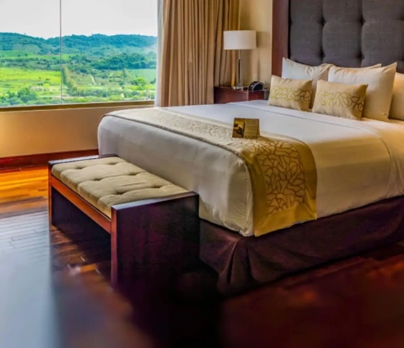 Superior Suite