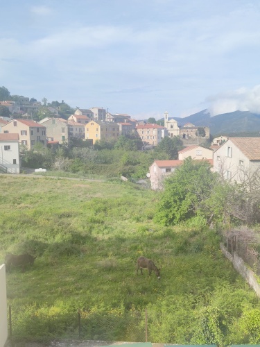 3 Bedrooms Comfort Apartment with balcony and with mountain view