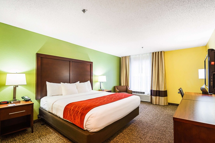 Standard Double room