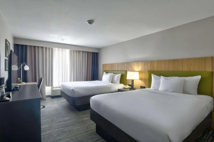 1 Bedroom Suite