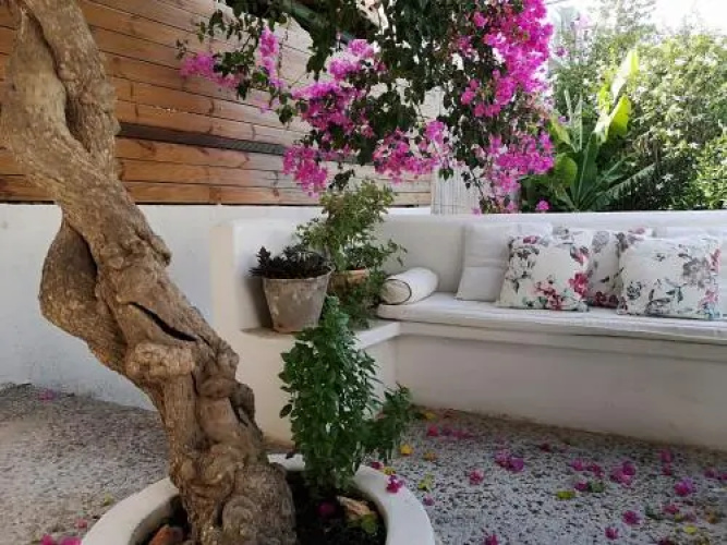 Granny's Olive Mill Villa