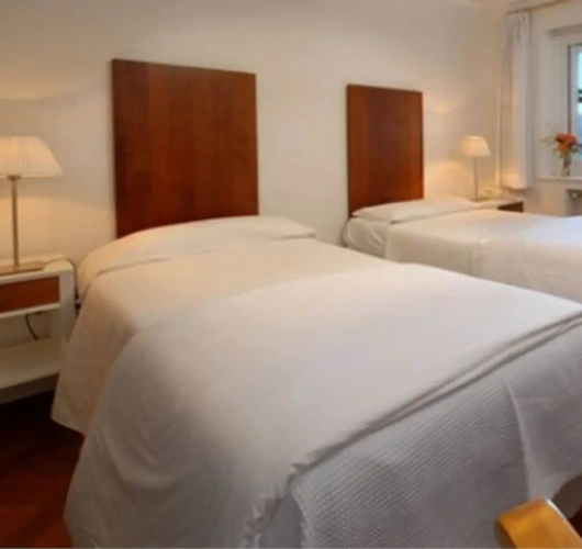 Standard Double room with garden view