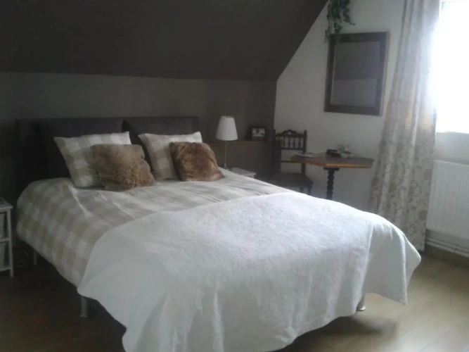 Standard Twin room with view