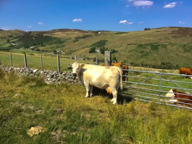 Highland Glen Lodges