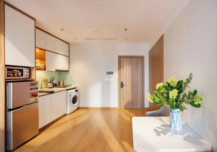Premium Double Studio with balcony and with city view