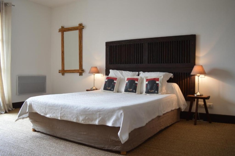 Standard Double room with balcony and with mountain view