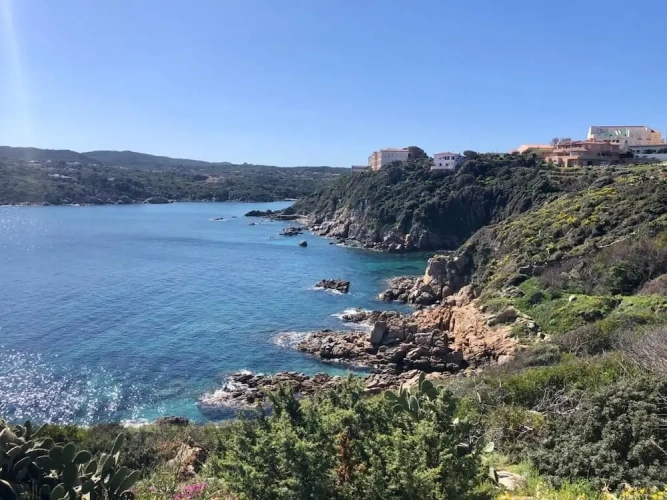 1 Bedroom Apartment with balcony