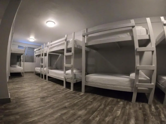 Bed in Dorm