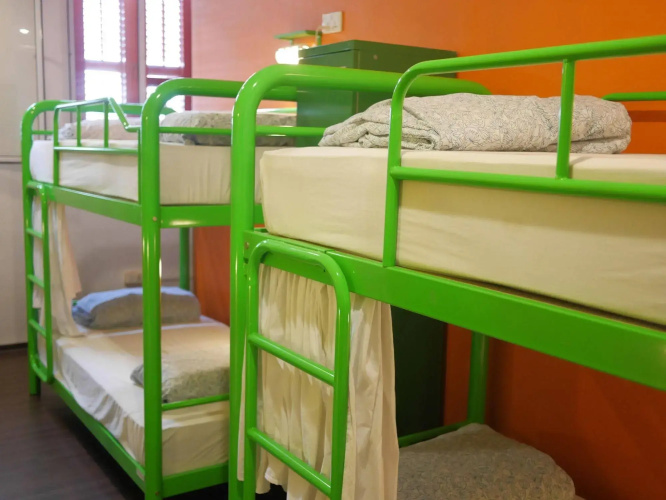 Beary Best! Hostel