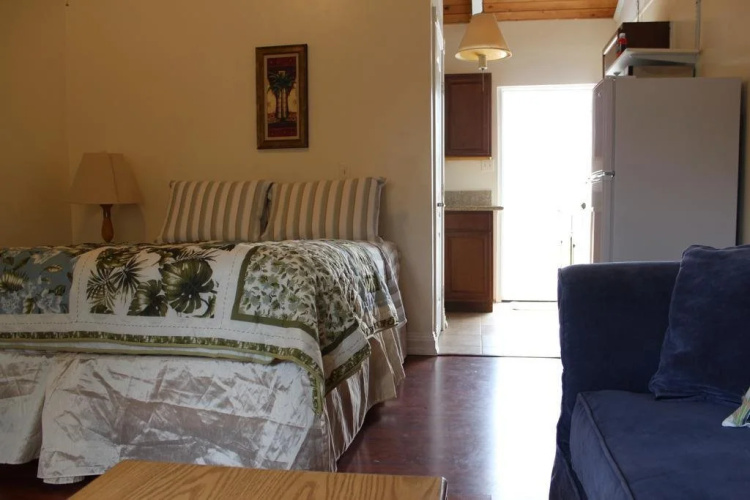 Jasmine House Bed and Breakfast
