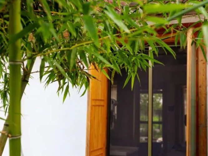 Outside