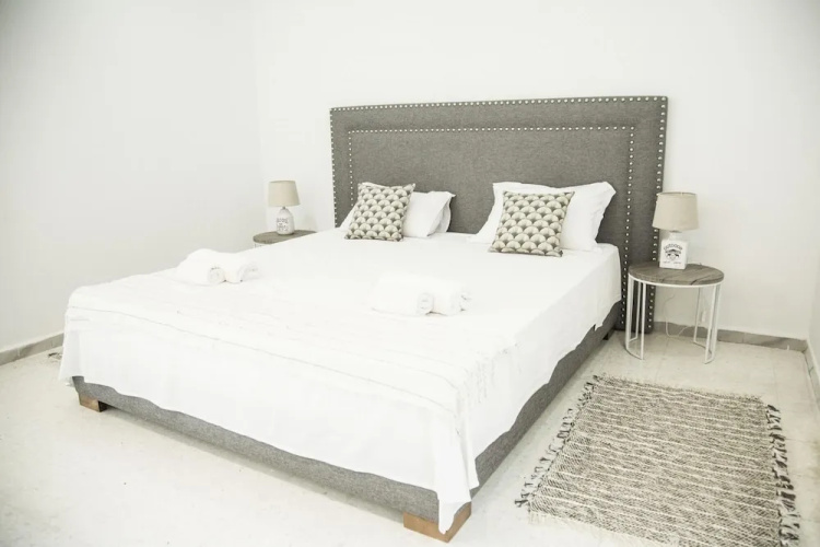 Le Centre-ville Tr S Chic Apt Avec Jardin Marsa - La Marsa