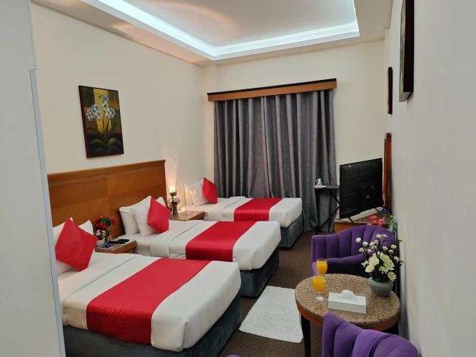 Deluxe Twin room