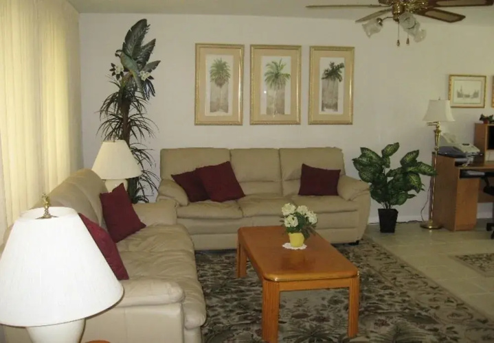 Palm Tree by 123cape VR