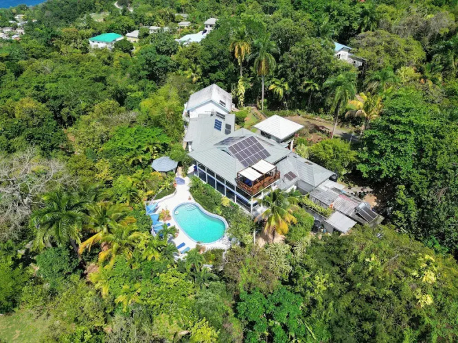LF Jungle Retreat