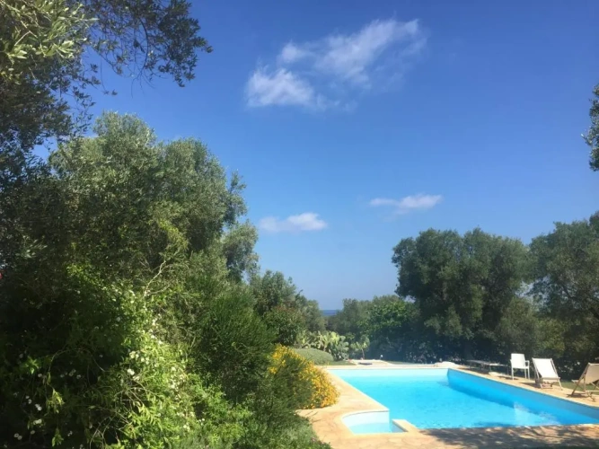2 Bedrooms Double Apartment with pool view