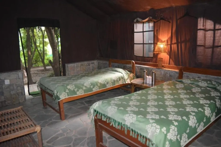 Tent